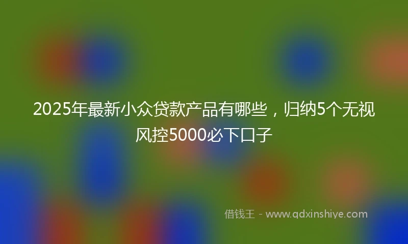 2025年最新小众贷款产品有哪些，归纳5个无视风控5000必下口子
