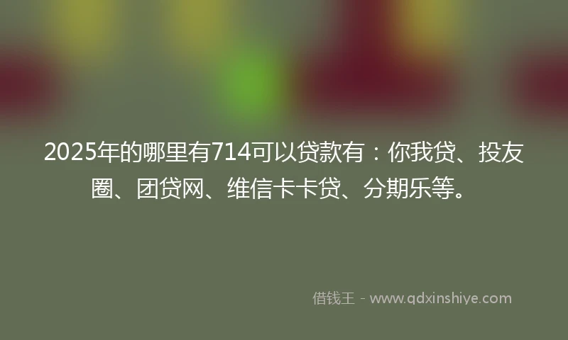 2025年的哪里有714可以贷款有：你我贷、投友圈、团贷网、维信卡卡贷、分期乐等。