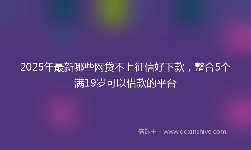2025年最新哪些网贷不上征信好下款，整合5个满19岁可以借款的平台