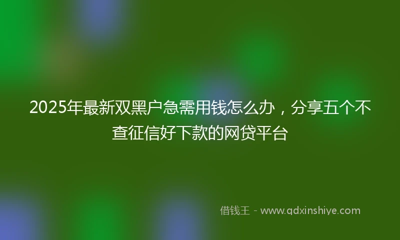 2025年最新双黑户急需用钱怎么办，分享五个不查征信好下款的网贷平台