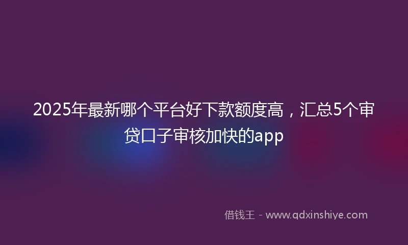 2025年最新哪个平台好下款额度高，汇总5个审贷口子审核加快的app