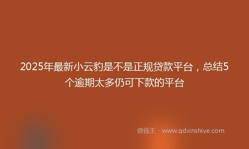 2025年最新小云豹是不是正规贷款平台，总结5个逾期太多仍可下款的平台