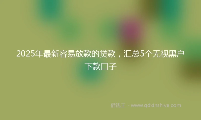 2025年最新容易放款的贷款，汇总5个无视黑户下款口子