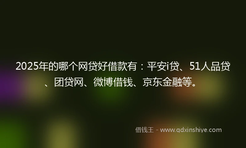 2025年的哪个网贷好借款有：平安i贷、51人品贷、团贷网、微博借钱、京东金融等。