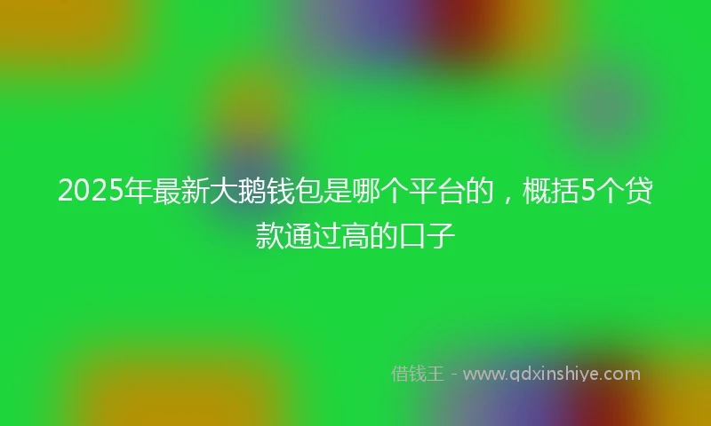 2025年最新大鹅钱包是哪个平台的，概括5个贷款通过高的口子