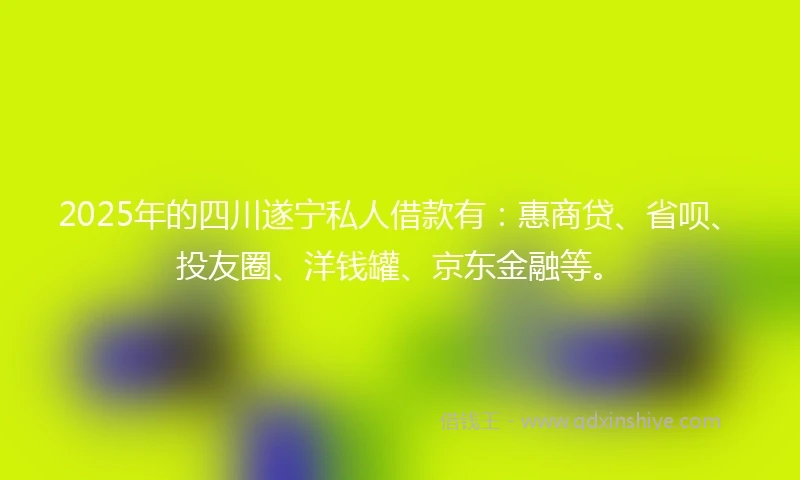 2025年的四川遂宁私人借款有：惠商贷、省呗、投友圈、洋钱罐、京东金融等。