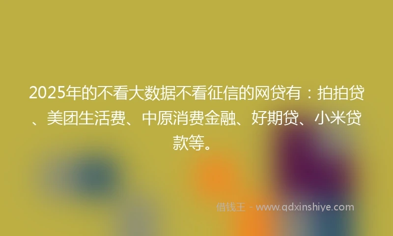2025年的不看大数据不看征信的网贷有：拍拍贷、美团生活费、中原消费金融、好期贷、小米贷款等。