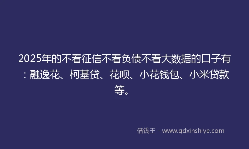 2025年的不看征信不看负债不看大数据的口子有：融逸花、柯基贷、花呗、小花钱包、小米贷款等。