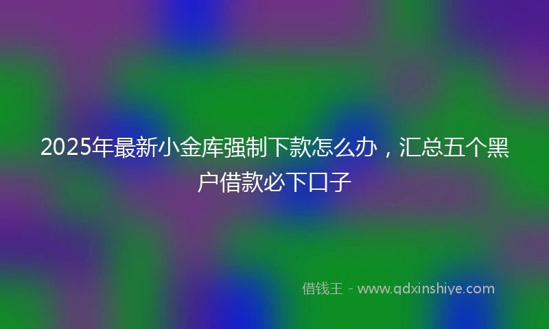 2025年最新小金库强制下款怎么办，汇总五个黑户借款必下口子