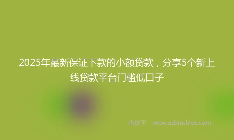 2025年最新保证下款的小额贷款，分享5个新上线贷款平台门槛低口子