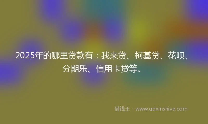 2025年的哪里贷款有：我来贷、柯基贷、花呗、分期乐、信用卡贷等。