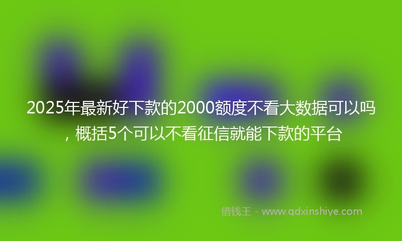 2025年最新好下款的2000额度不看大数据可以吗,概括5个可以不看征信就能下款的平台
