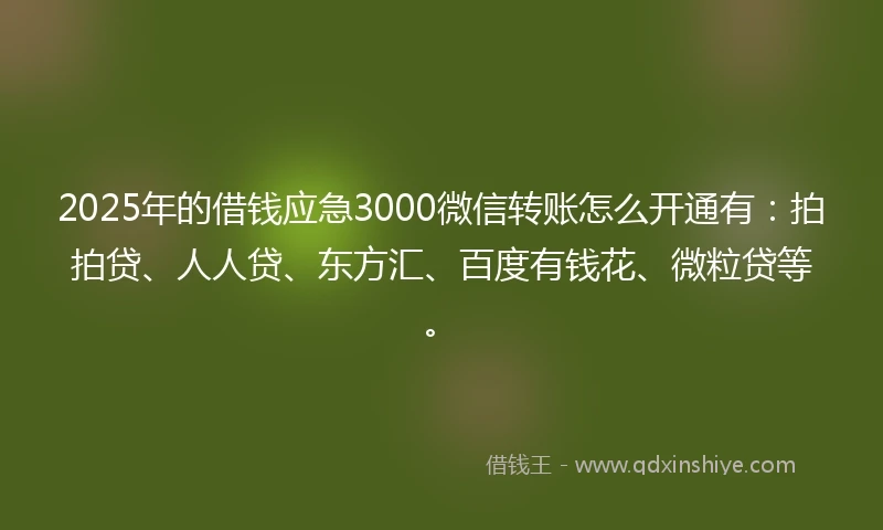 2025年的借钱应急3000微信转账怎么开通有：拍拍贷、人人贷、东方汇、百度有钱花、微粒贷等。