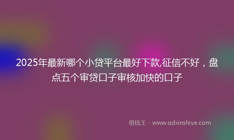 2025年最新哪个小贷平台最好下款,征信不好，盘点五个审贷口子审核加快的口子