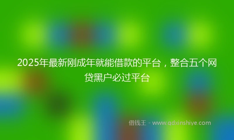 2025年最新刚成年就能借款的平台，整合五个网贷黑户必过平台