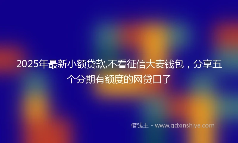 2025年最新小额贷款,不看征信大麦钱包，分享五个分期有额度的网贷口子