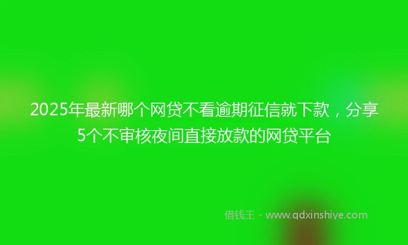 2025年最新哪个网贷不看逾期征信就下款，分享5个不审核夜间直接放款的网贷平台