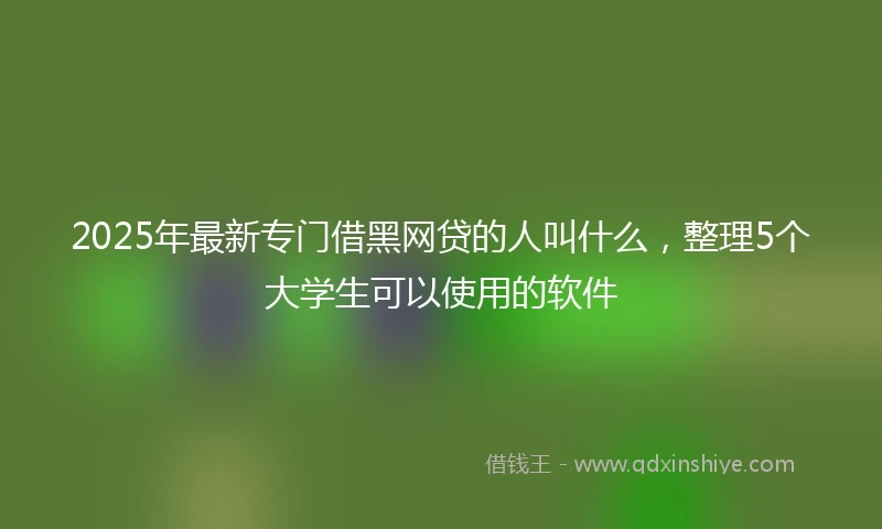 2025年最新专门借黑网贷的人叫什么，整理5个大学生可以使用的软件