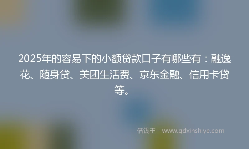 2025年的容易下的小额贷款口子有哪些有：融逸花、随身贷、美团生活费、京东金融、信用卡贷等。