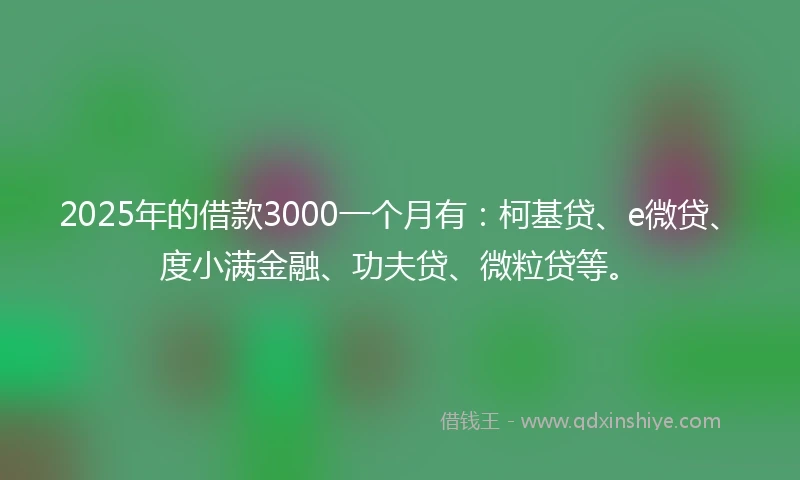 2025年的借款3000一个月有：柯基贷、e微贷、度小满金融、功夫贷、微粒贷等。