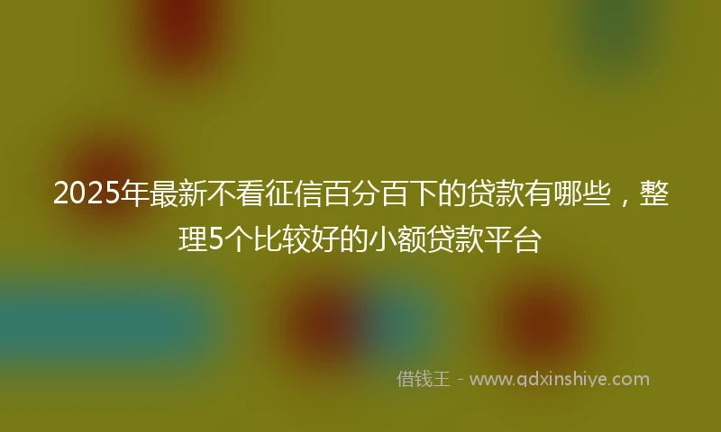 2025年最新不看征信百分百下的贷款有哪些，整理5个比较好的小额贷款平台