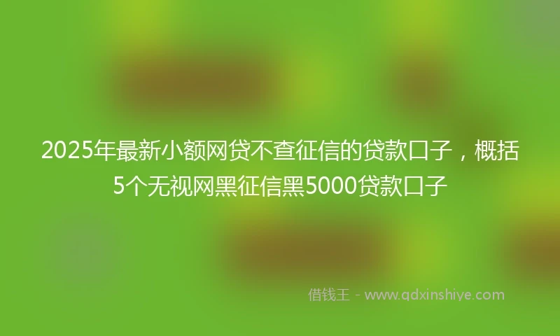 2025年最新小额网贷不查征信的贷款口子，概括5个无视网黑征信黑5000贷款口子