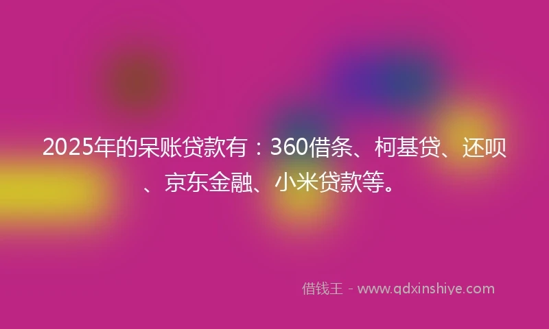2025年的呆账贷款有：360借条、柯基贷、还呗、京东金融、小米贷款等。