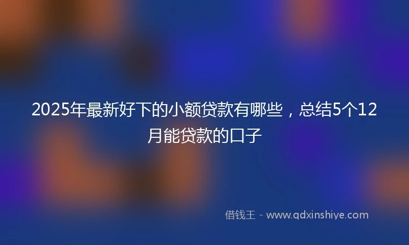 2025年最新好下的小额贷款有哪些，总结5个12月能贷款的口子
