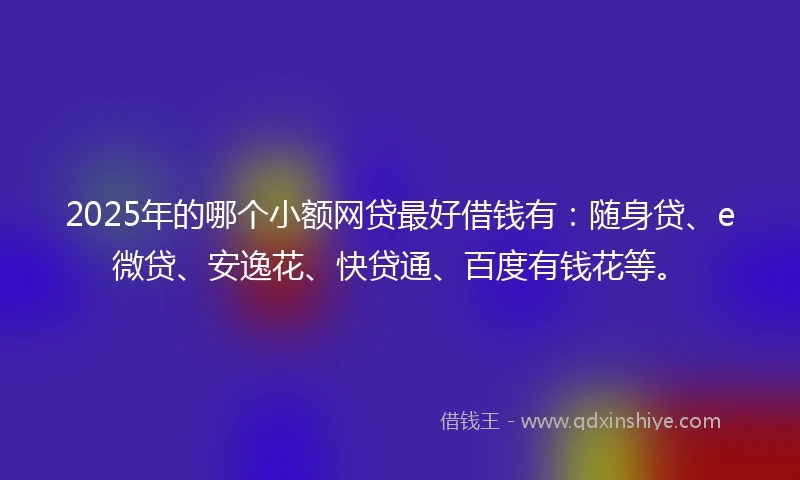 2025年的哪个小额网贷最好借钱有：随身贷、e微贷、安逸花、快贷通、百度有钱花等。