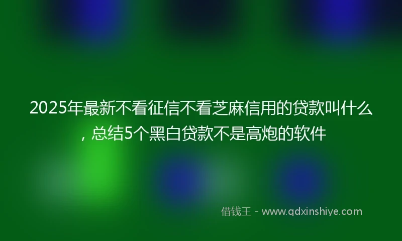 2025年最新不看征信不看芝麻信用的贷款叫什么，总结5个黑白贷款不是高炮的软件
