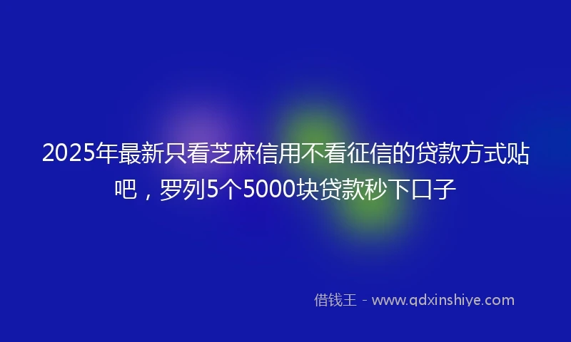 2025年最新只看芝麻信用不看征信的贷款方式贴吧，罗列5个5000块贷款秒下口子