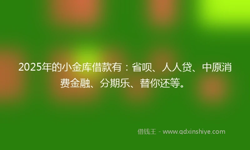 2025年的小金库借款有：省呗、人人贷、中原消费金融、分期乐、替你还等。