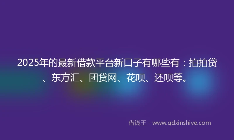 2025年的最新借款平台新口子有哪些有：拍拍贷、东方汇、团贷网、花呗、还呗等。