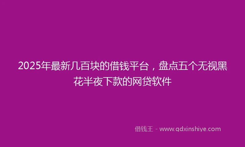 2025年最新几百块的借钱平台，盘点五个无视黑花半夜下款的网贷软件