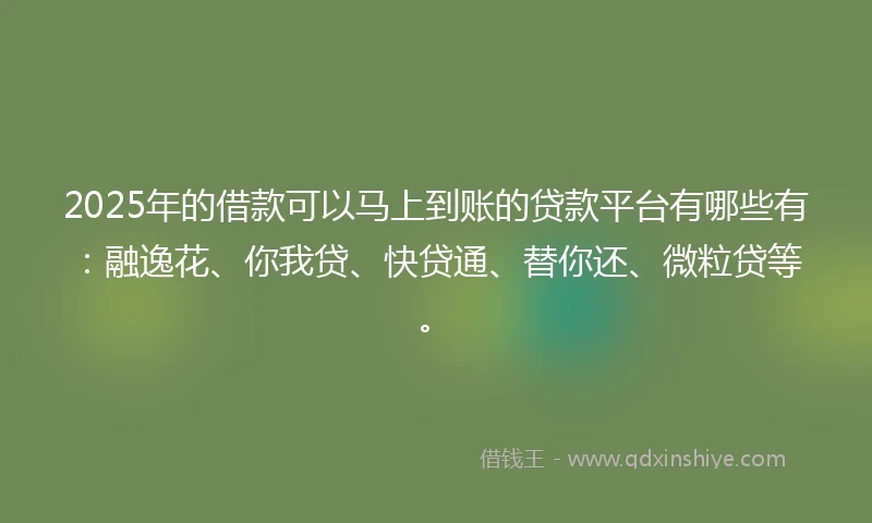 2025年的借款可以马上到账的贷款平台有哪些有：融逸花、你我贷、快贷通、替你还、微粒贷等。