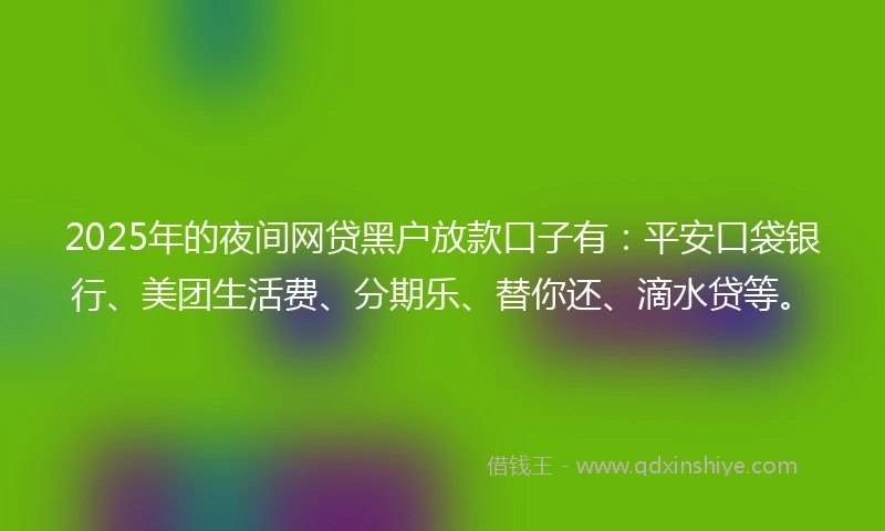 2025年的夜间网贷黑户放款口子有：平安口袋银行、美团生活费、分期乐、替你还、滴水贷等。