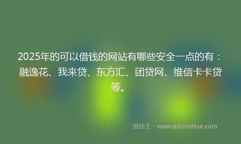 2025年的可以借钱的网站有哪些安全一点的有：融逸花、我来贷、东方汇、团贷网、维信卡卡贷等。