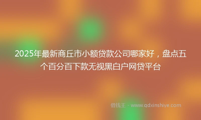 2025年最新商丘市小额贷款公司哪家好，盘点五个百分百下款无视黑白户网贷平台