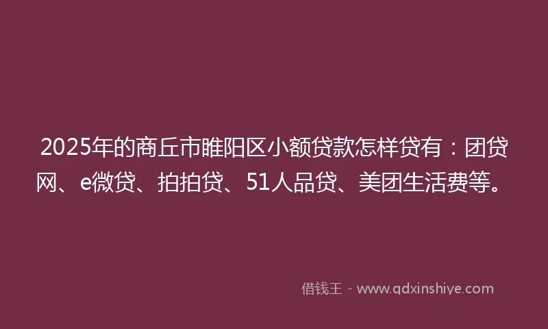 2025年的商丘市睢阳区小额贷款怎样贷有：团贷网、e微贷、拍拍贷、51人品贷、美团生活费等。