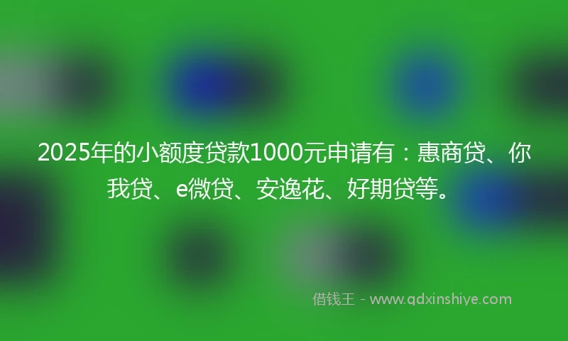 2025年的小额度贷款1000元申请有：惠商贷、你我贷、e微贷、安逸花、好期贷等。