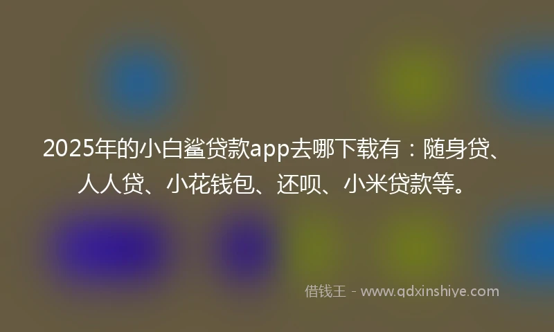 2025年的小白鲨贷款app去哪下载有：随身贷、人人贷、小花钱包、还呗、小米贷款等。
