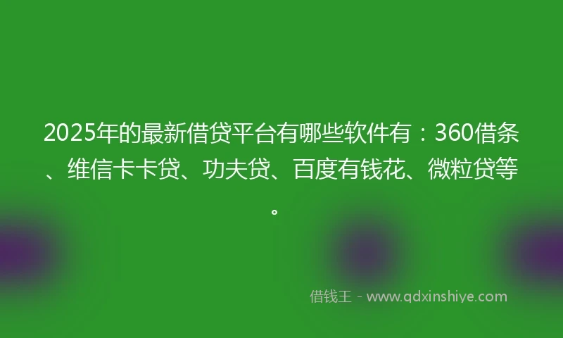 2025年的最新借贷平台有哪些软件有：360借条、维信卡卡贷、功夫贷、百度有钱花、微粒贷等。