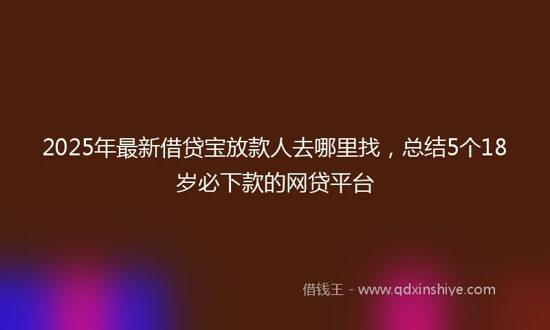 2025年最新借贷宝放款人去哪里找，总结5个18岁必下款的网贷平台