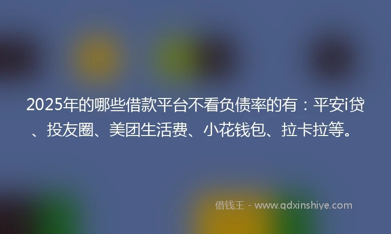 2025年的哪些借款平台不看负债率的有：平安i贷、投友圈、美团生活费、小花钱包、拉卡拉等。