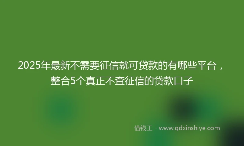 2025年最新不需要征信就可贷款的有哪些平台，整合5个真正不查征信的贷款口子