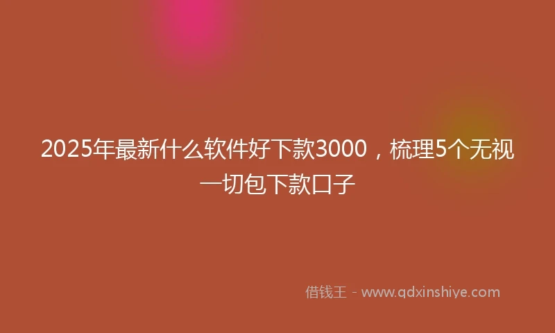 2025年最新什么软件好下款3000，梳理5个无视一切包下款口子