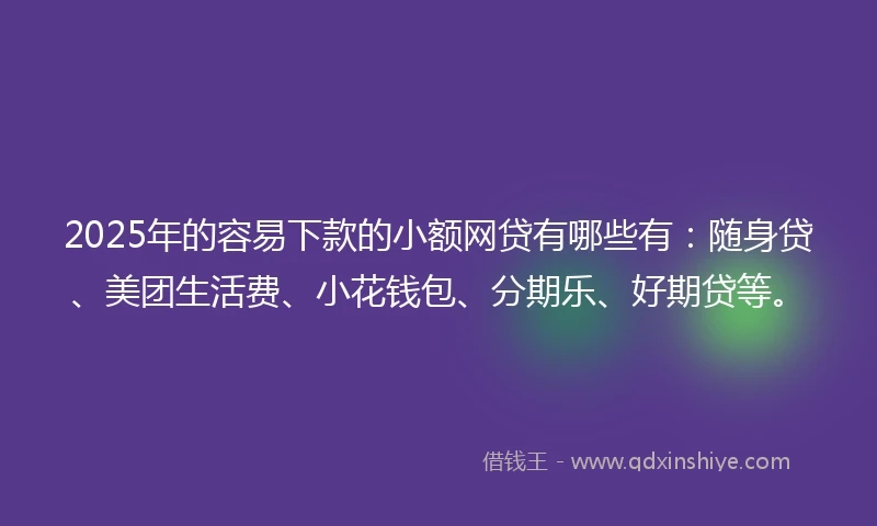 2025年的容易下款的小额网贷有哪些有：随身贷、美团生活费、小花钱包、分期乐、好期贷等。