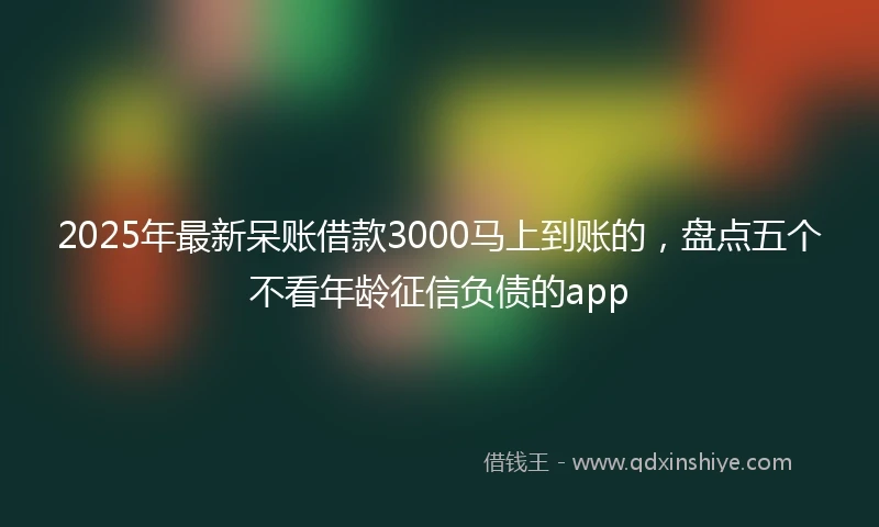 2025年最新呆账借款3000马上到账的，盘点五个不看年龄征信负债的app