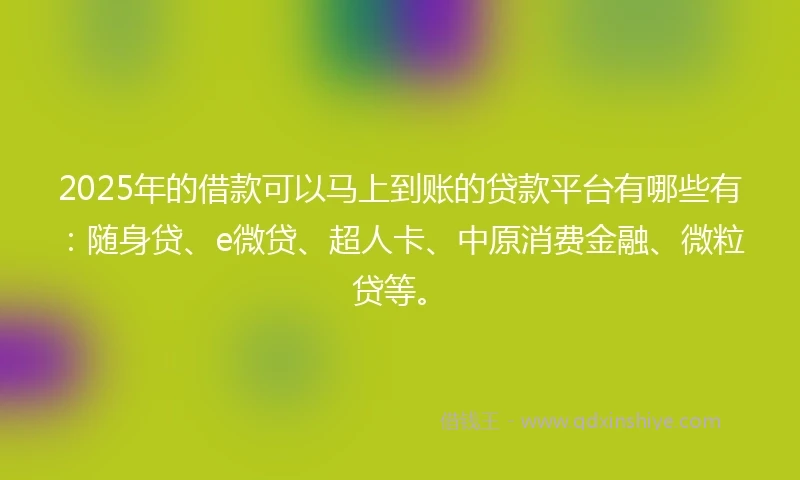 2025年的借款可以马上到账的贷款平台有哪些有：随身贷、e微贷、超人卡、中原消费金融、微粒贷等。