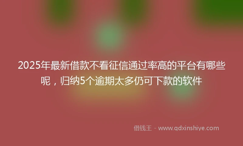 2025年最新借款不看征信通过率高的平台有哪些呢，归纳5个逾期太多仍可下款的软件